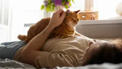 Váš chlupatý malý léčitel: proč za vámi kočka chodí, když se necítíte dobře?