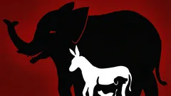 Zajímavá optická iluze: kolik zvířat dokážete na tomto obrázku najít za 10 sekund?